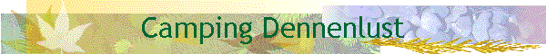 Camping Dennenlust